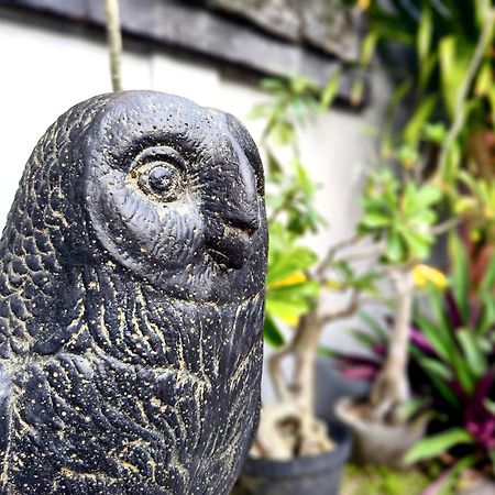 Panda Lumbung Bed & Breakfast Sanur  Luaran gambar