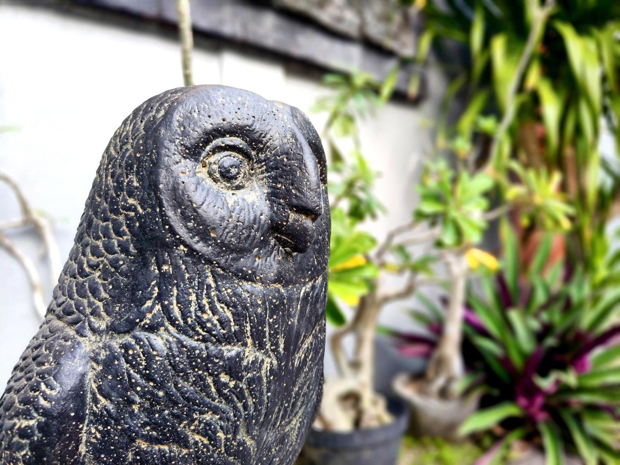 Panda Lumbung Bed & Breakfast Sanur  Luaran gambar