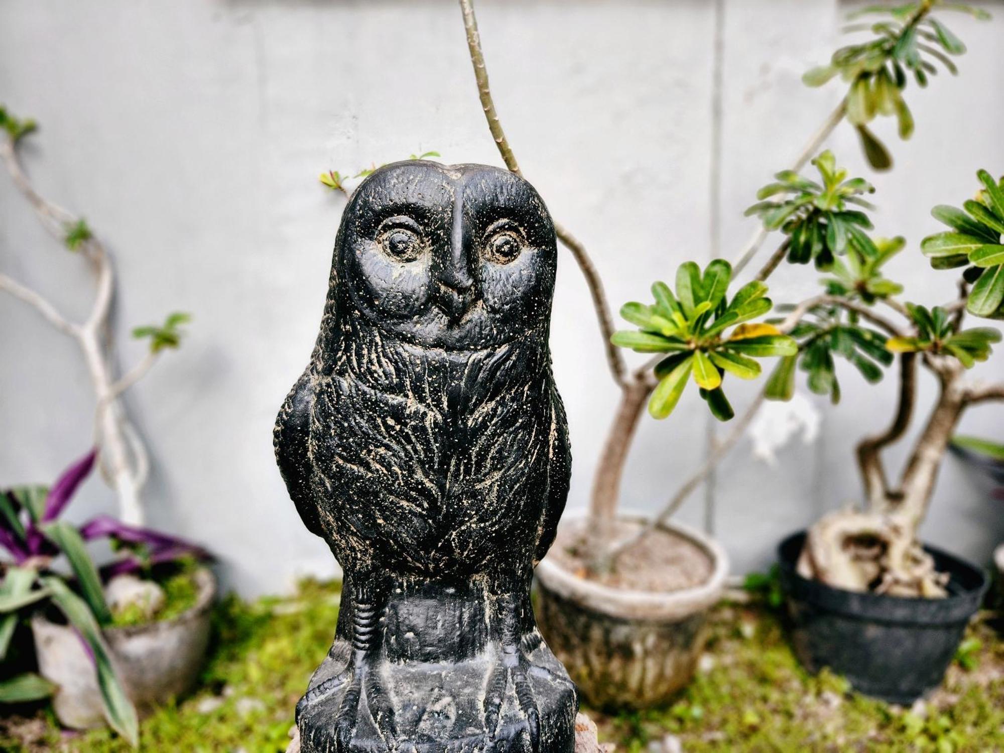 Panda Lumbung Bed & Breakfast Sanur  Luaran gambar
