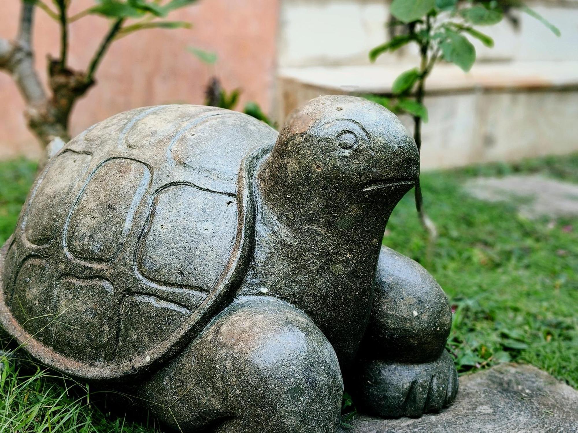 Panda Lumbung Bed & Breakfast Sanur  Luaran gambar
